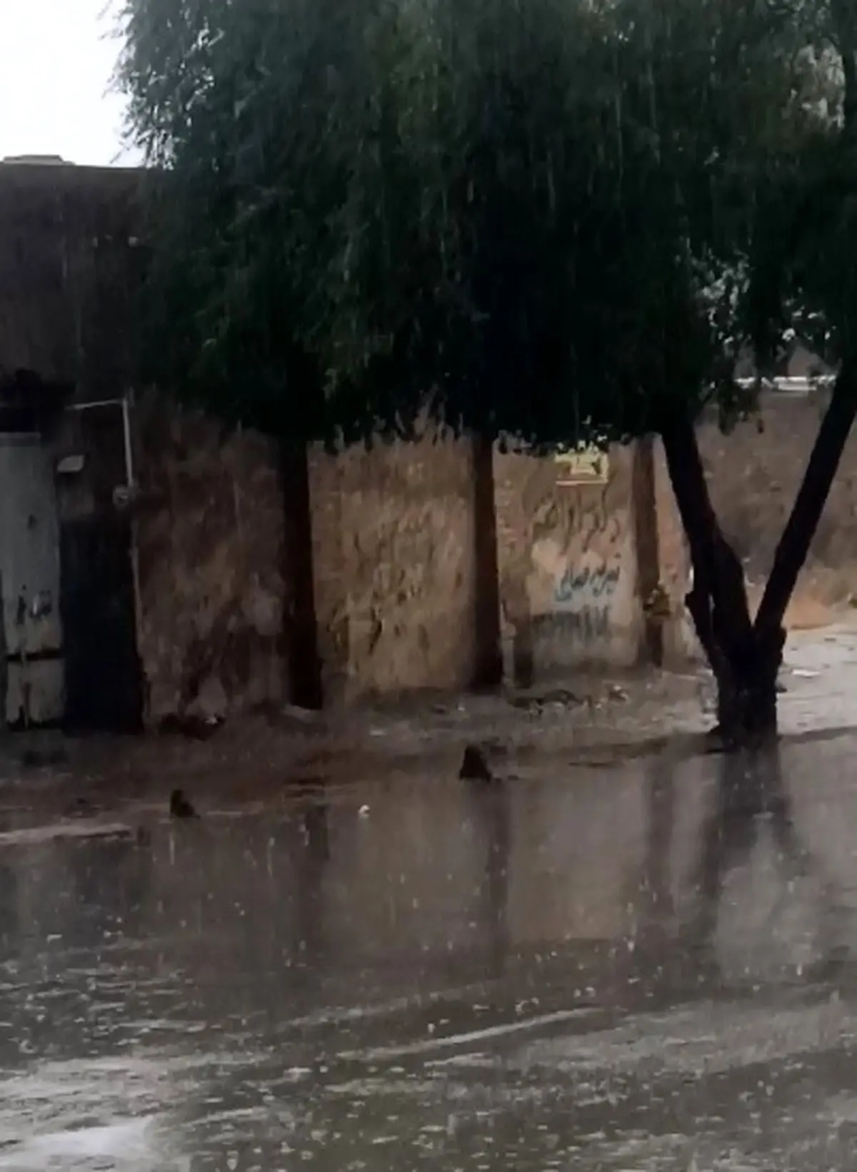 بارش باران هم اکنون در رامهرمز + فیلم