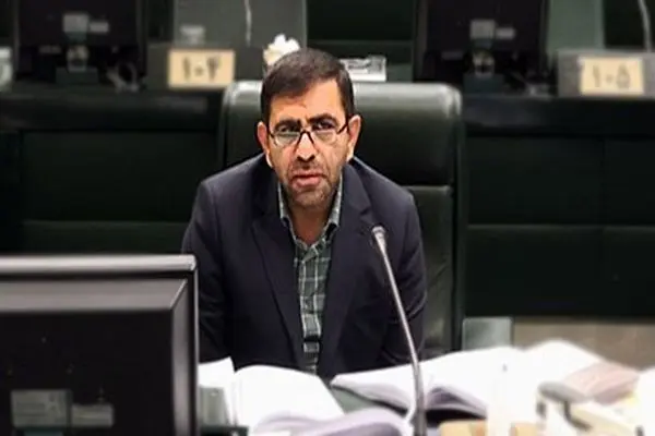وزیر جهادکشاورزی در لغو مصوبه خرید کلزا و دانه‌های روغنی توسط بخش خصوصی تجدیدنظر کند