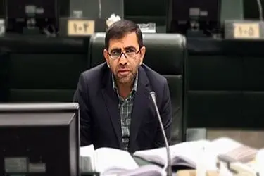 وزیر جهادکشاورزی در لغو مصوبه خرید کلزا و دانه‌های روغنی توسط بخش خصوصی تجدیدنظر کند