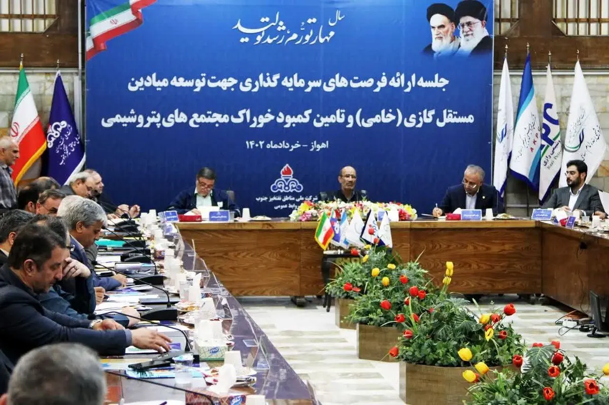 طرح توسعه و سرمایهگذاری بر روی ۱۶ مخزن مستقل گازی بررسی شد