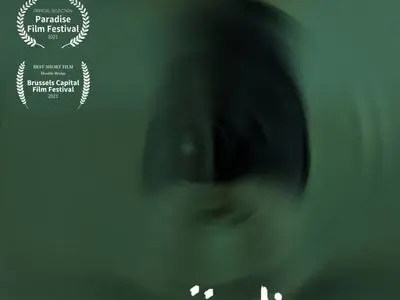 asdasd