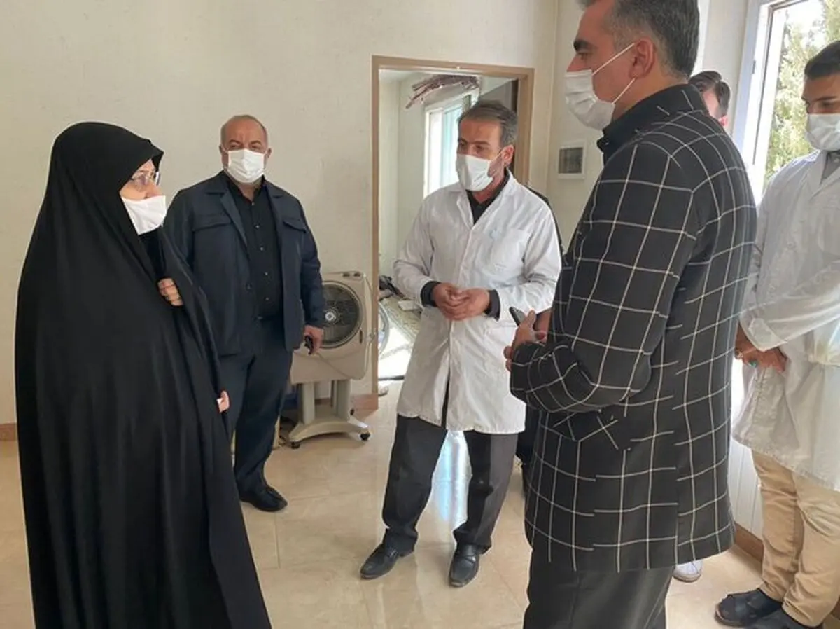 دیدار معاون زنان رئیس جمهور با تعدادی از جانبازان قطع نخاعی در روز اربعین