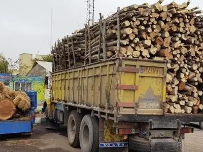 صدور مجوز حمل محصولات چوبی به صورت الکترونیکی در استان مرکزی / رعایت ضوابط قانونی و اخذ مجوزها ضروری است