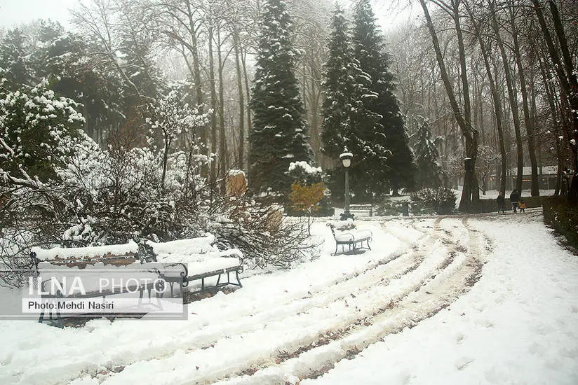 برف زمستانی در سعدآباد