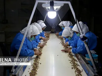 وجود ۹۸۰۰ واحد تولیدی غیر فعال و راکد/ راه‌اندازی مجدد ۸۱۹ واحد صنعتی از ابتدای سال ۹۹