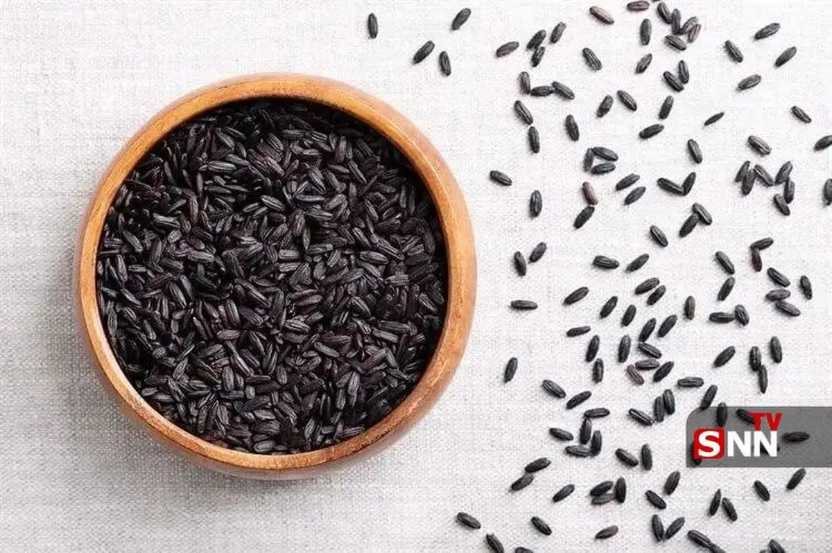 برنج سیاه؛ غله‌ای باستانی در خدمت تغذیه آینده