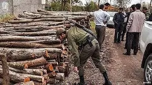 بیش از 6 تن چوب جنگلی قاچاق  کشف شد