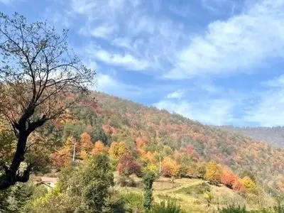 وزش باد گرم در گیلان تا فردا ادامه دارد