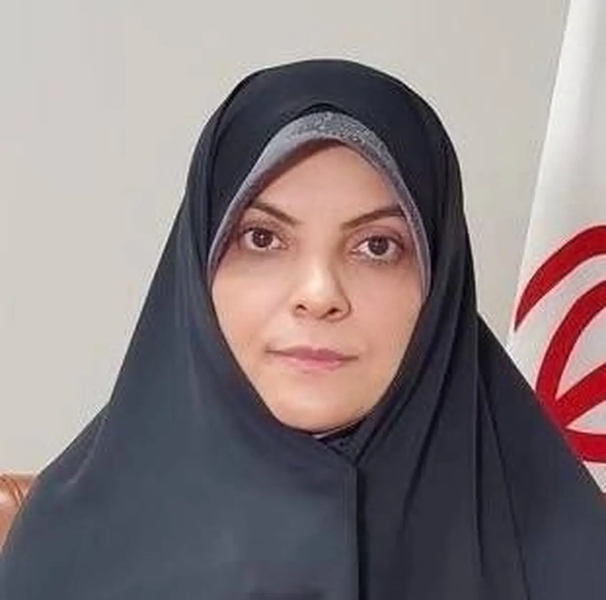 محکومیت اقدام غیرقانونی کاستریکا در برچسب‌زنی به نیروهای مسلح ایران