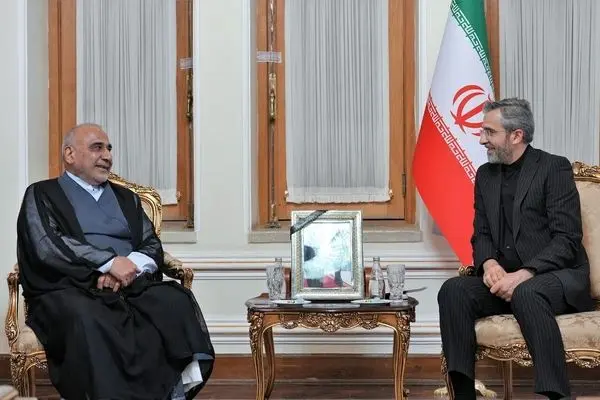 Ali Bagheri meets with former Iraqi PM