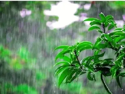 آغاز برف و باران از ارتفاعات غربی مازندران/فعالیت دریایی ممنوع