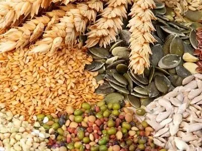 مجوز تولید دانه‌های روغنی به واردکنندگان داده شد