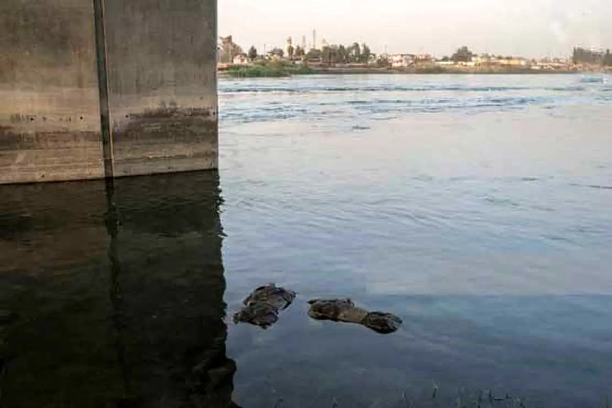 جنازه دو داعشی در رودخانه دجله/عکس