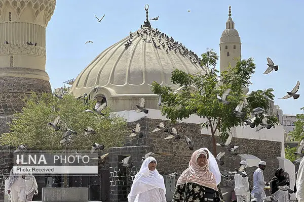 زیارت دوره زائران در مدینه منوره 