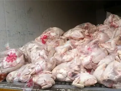 ذخیره گوشت مرغ در کشور در آستانه ایام عید نوروز و ماه مبارک رمضان