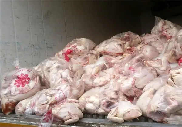  ۴۲۰۰ کیلوگرم گوشت مرغ غیر قابل مصرف در استان ضبط و معدوم شد