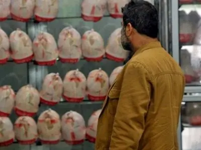 شناسایی بیش از ۴۰۰ واحد متخلف تولید و عرضه مرغ در خراسان رضوی