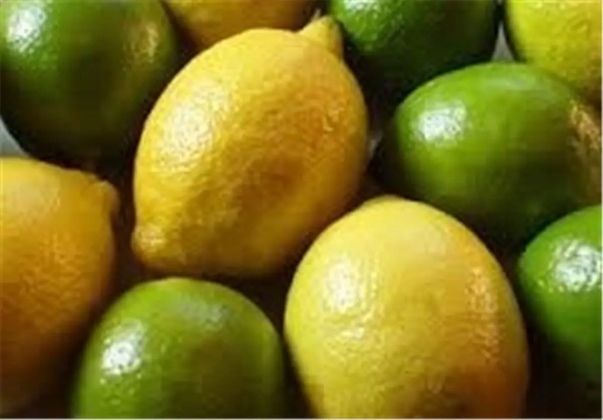 صادرات لیموترش و لیموشیرین ممنوع شد 