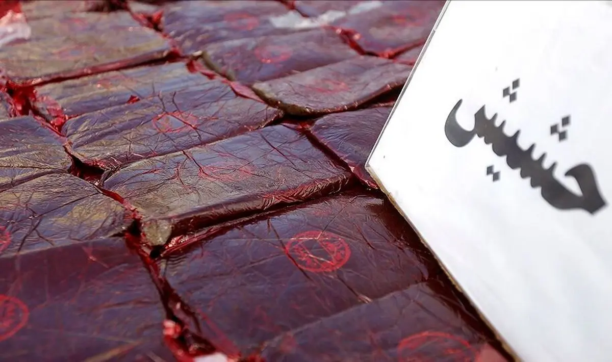 حشیش مخدر مرگبار؛ سیاست‌ها در حوزه مبارزه با مواد مخدر در عمل تاثیر چندانی نداشته است

