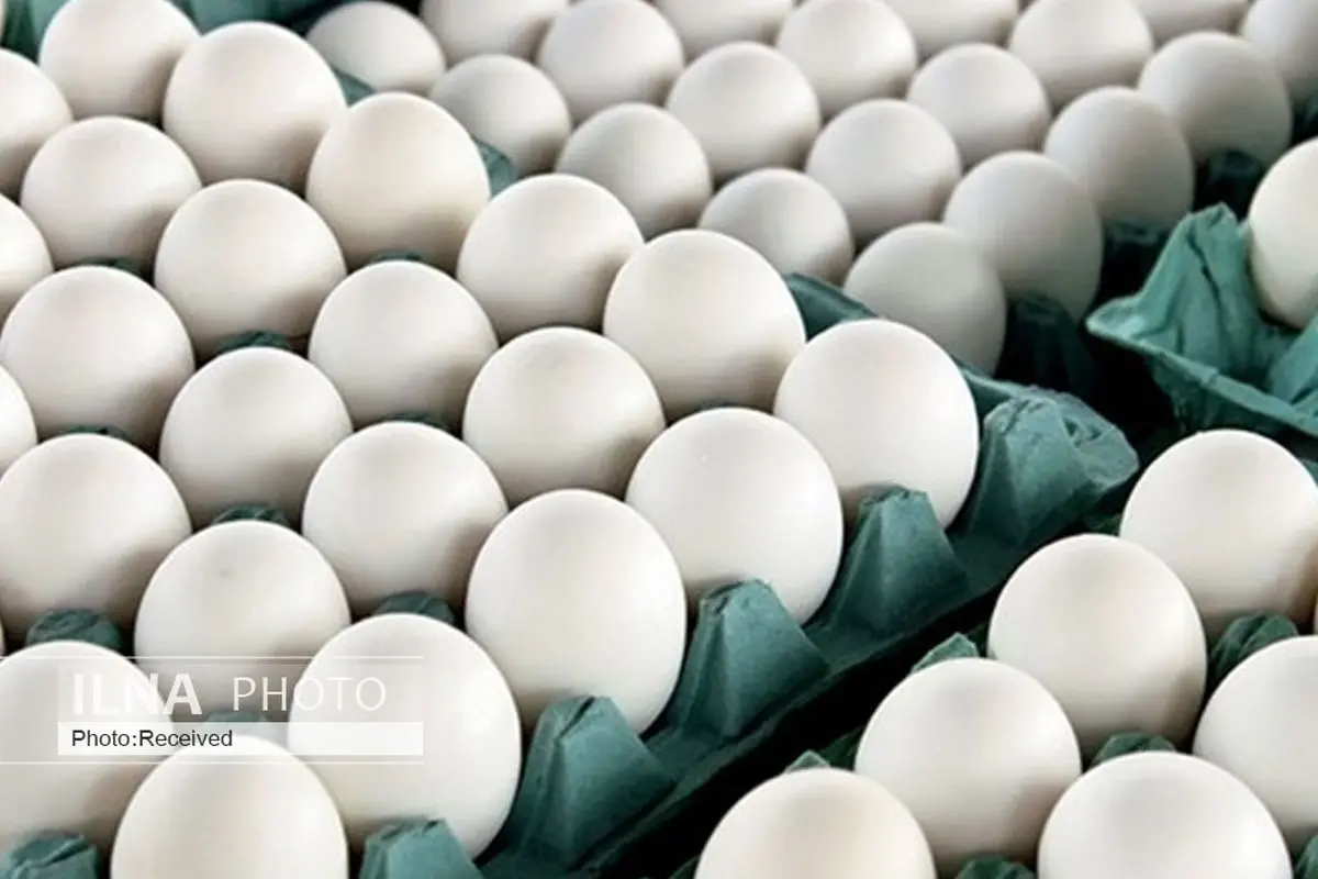 تخم مرغ تنظیم بازار در قزوین با نرخ 43 هزار تومان توزیع می‌شود