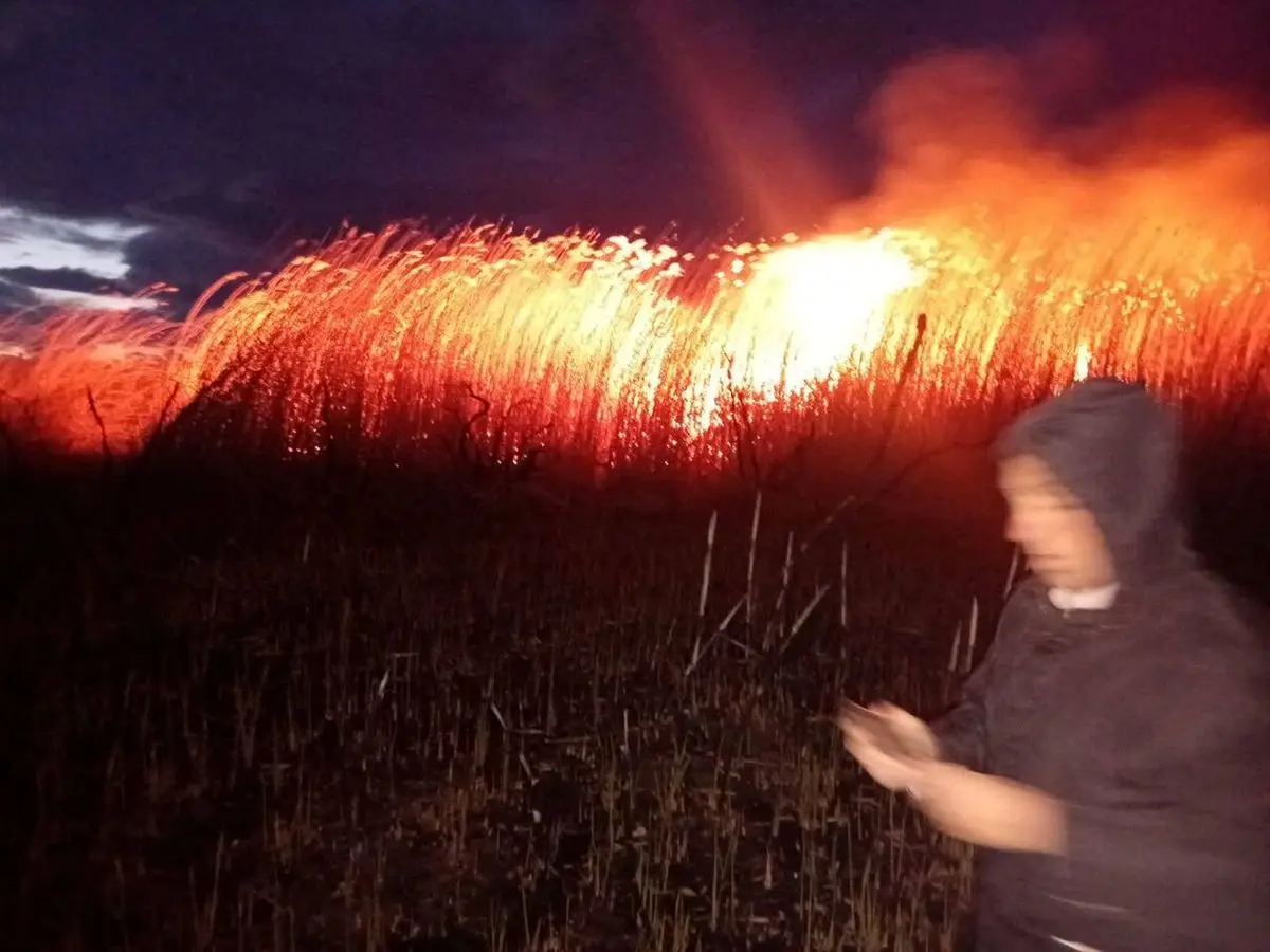 ۳ هکتار از تالاب دورگه نقده در آتش سوخت