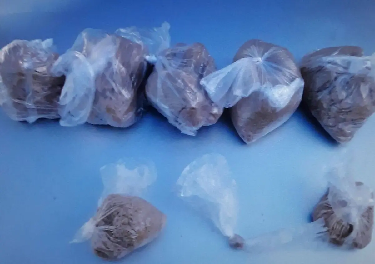 بیش از ۲ کیلوگرم هروئین در نیشابور کشف شد 