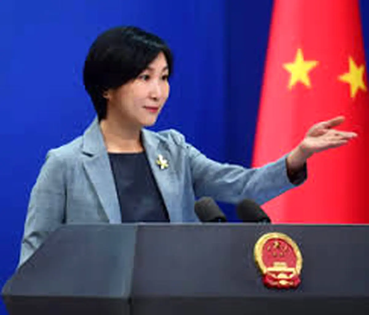 در قطعنامه شورای امینت درباره غزه ابهام وجود دارد