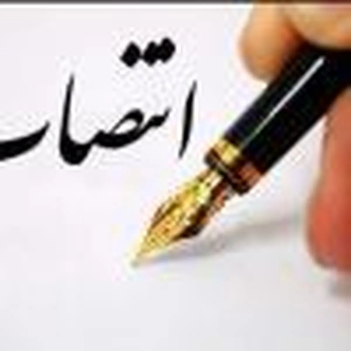مدیرکل تدارکات گروه صنعتی بارز منصوب شد 
