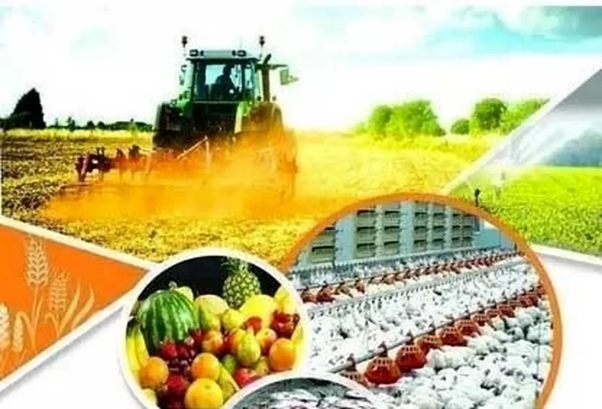 رشد ۷۷ درصدی اعتبارات جهاد کشاورزی لرستان