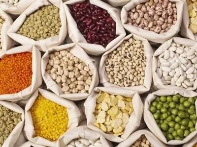 پیش بینی تولید نزدیک به ۵۰ هزار تن حبوبات در آذربایجان غربی 