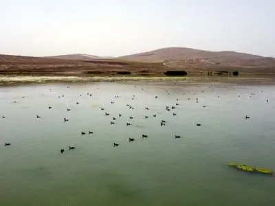 نوید زندگی دوباره در تالاب های آذربایجان غربی / تالاب حسنلو سر ریز شد