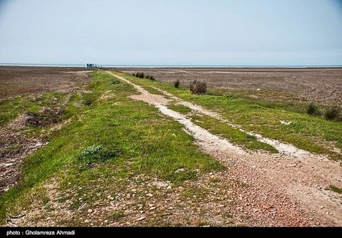 عکس‌هایی از خشکی ساحل دریا در گلوگاه