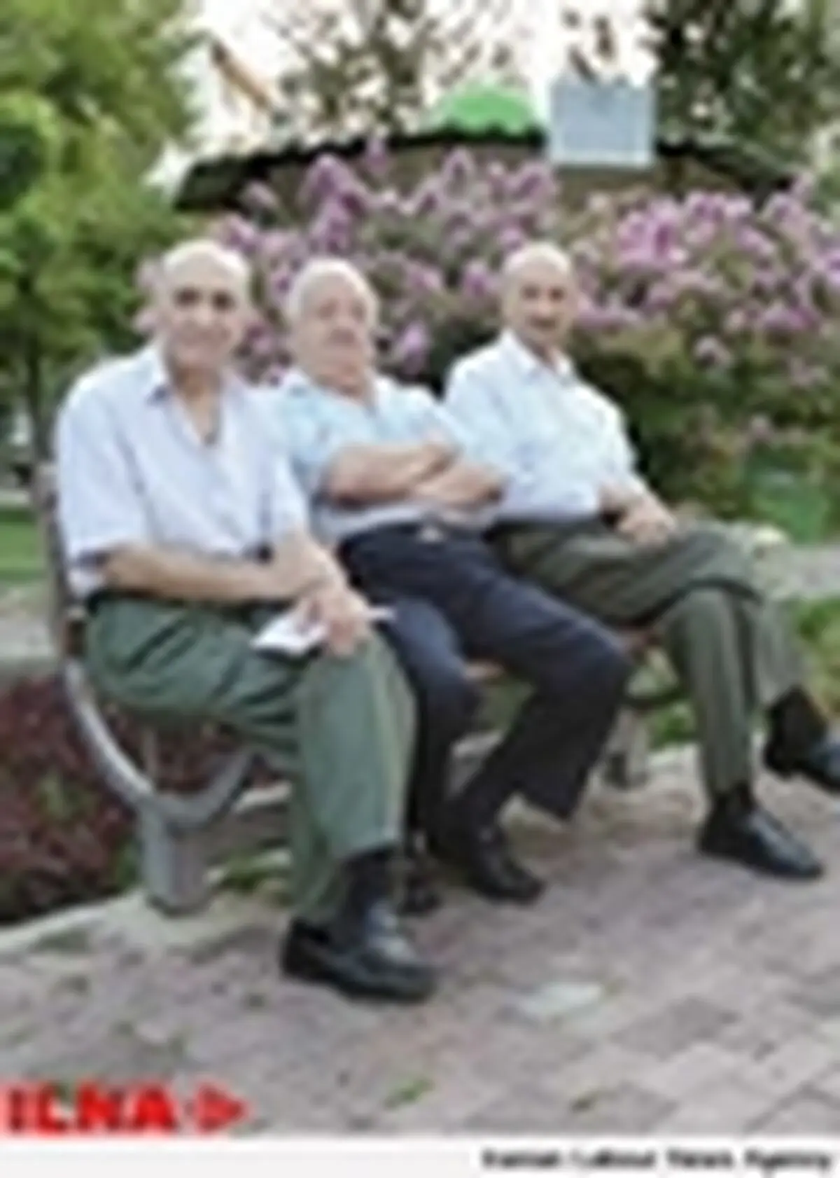 تصویب نهایی پیش نویس سند ملی سالمندان تا دو ماه آینده