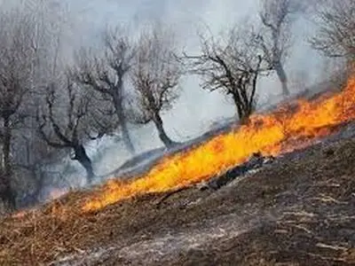 جوامع محلی برای مهار آتش‌سوزی در منطقه حفاظت‌شده  هلن کمک کنند