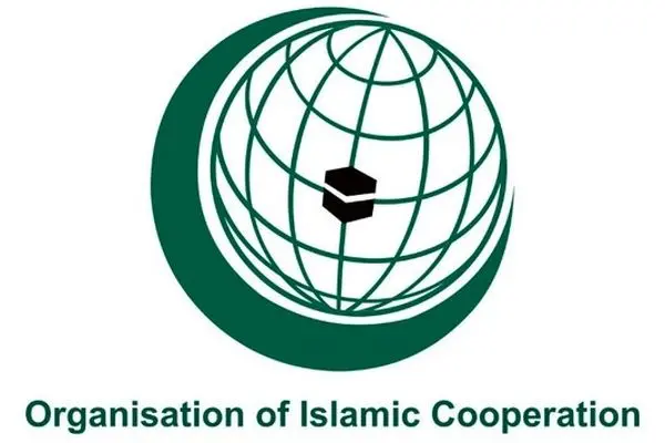 OIC condemns new Israeli atrocities in Gaza Strip