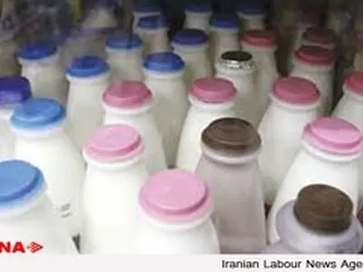 چراغ سبز استاندارد برای استفاده از روغن پالم در محصولات لبنی!