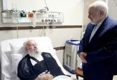 ظریف از آیت الله مکارم شیرازی عیادت کرد