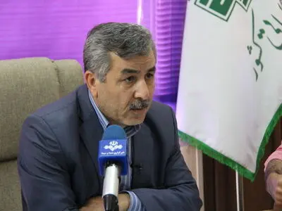 98درصد درآمدهای استان زنجان از محل درآمدهای مالیاتی‌ست