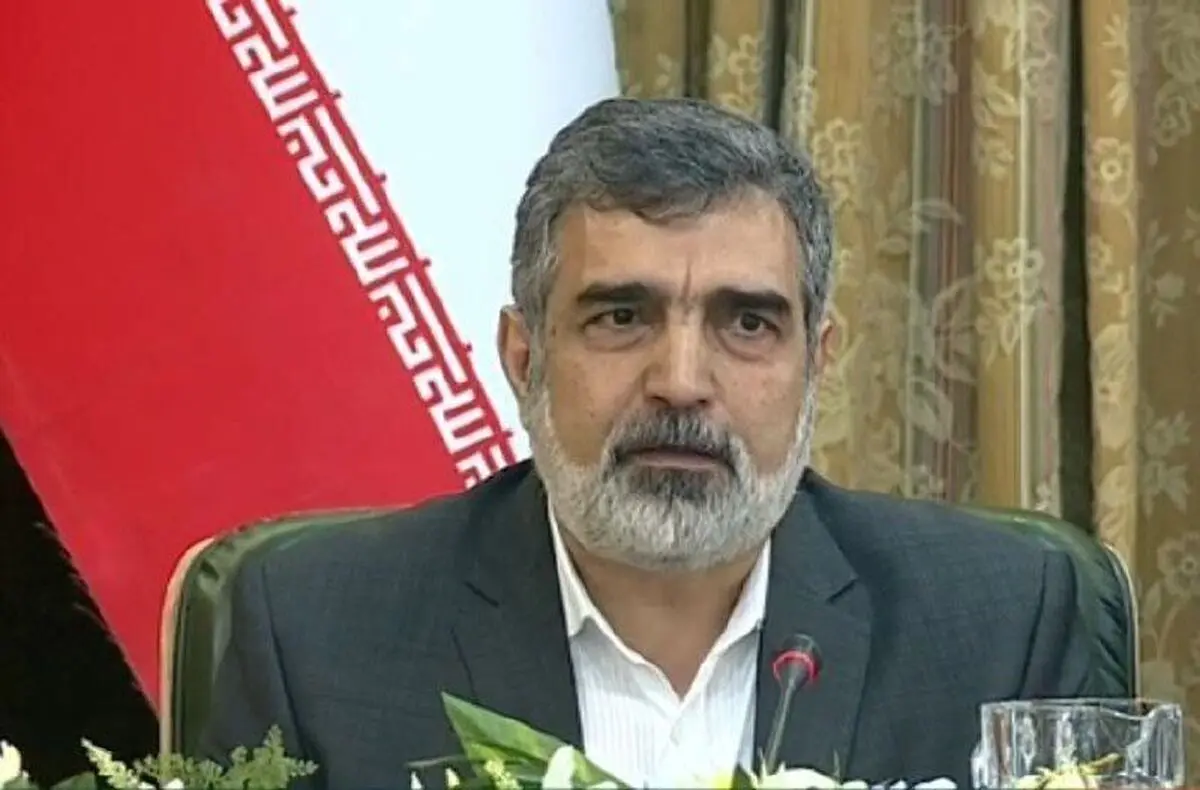 کمالوندی: إیران لن تتخطى حالیا حد الـ 4,5 بالمئة فی تخصیب الیورانیوم
