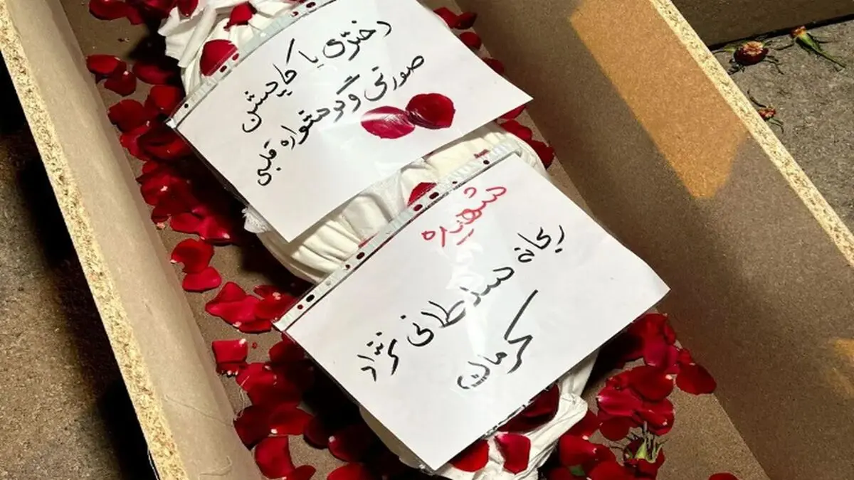 روایت جدید شهادت دختر کاپشن صورتی از زبان پسردایی اش