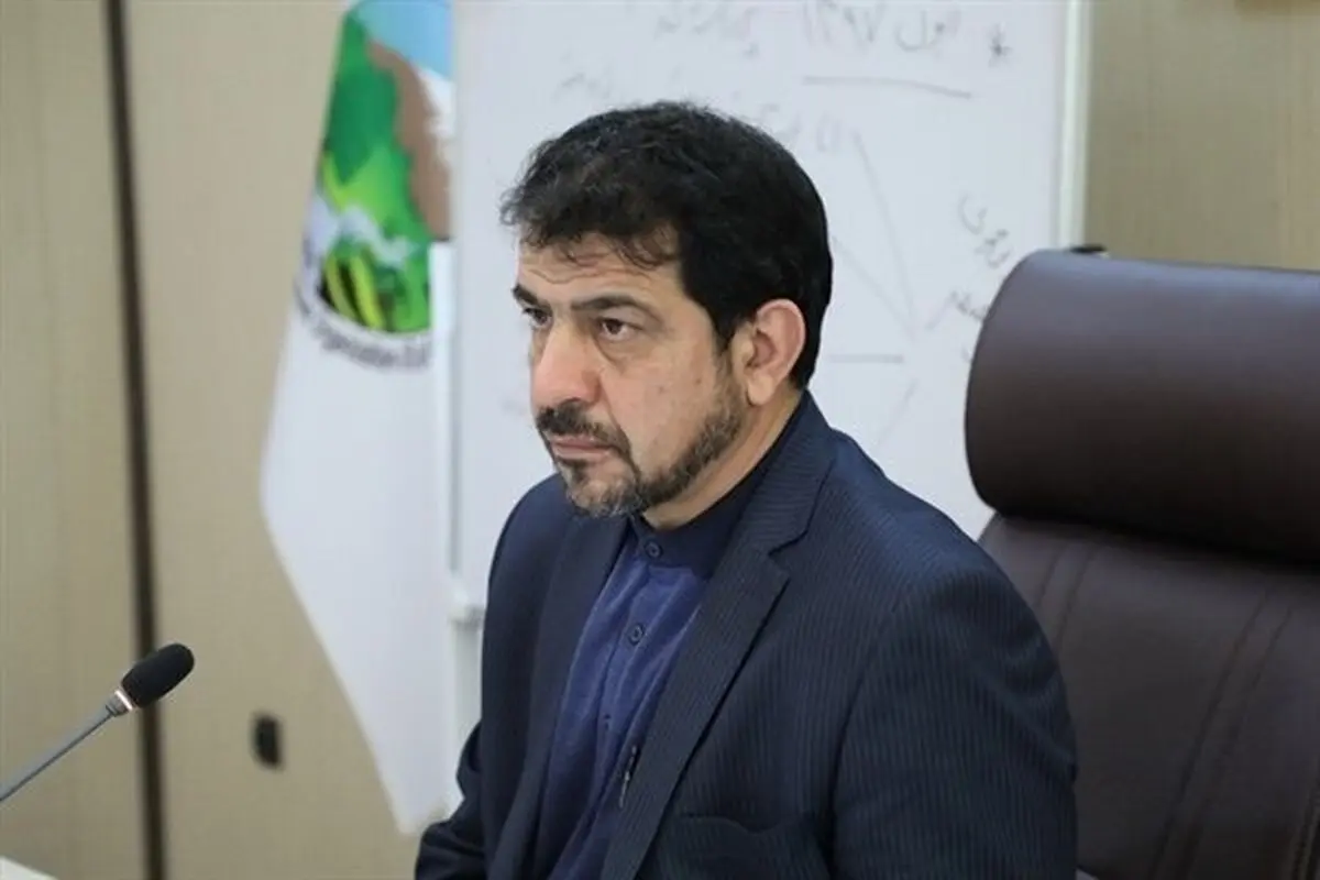 انتقاد رییس سازمان جنگل‌ها از اجرایی نشدن طرح جایگزین جنگل