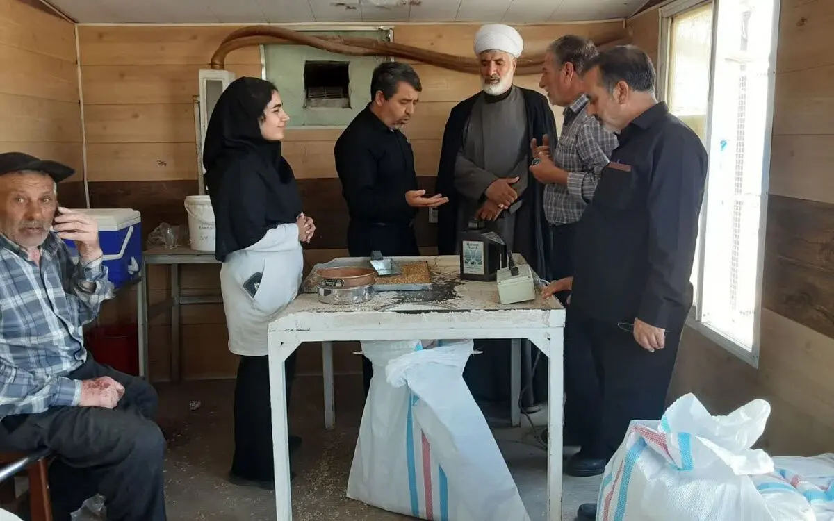 خرید تضمینی ۱۷۵ هزار تن گندم در قزوین