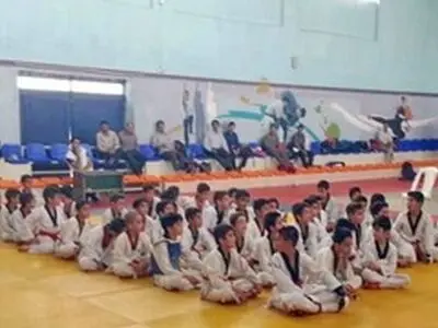 نفرات برتر تکواندو خردسالان لرستان مشخص شدند