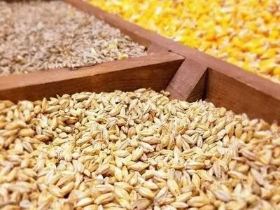 تشکیل پرونده‌ برای متخلفان بازار نهاده‌های دامی