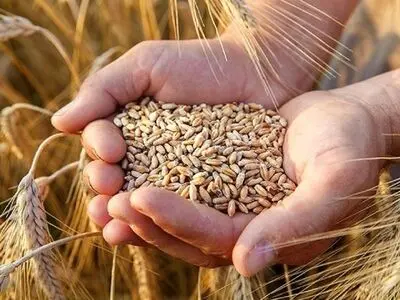 پرداخت مطالبات جو کاران گلستانی آغاز شد