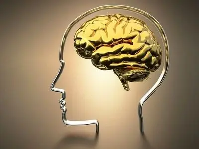 دو مرجعِ تقلیدِ بی‌سواد