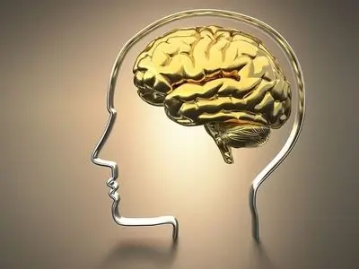 دو مرجعِ تقلیدِ بی‌سواد