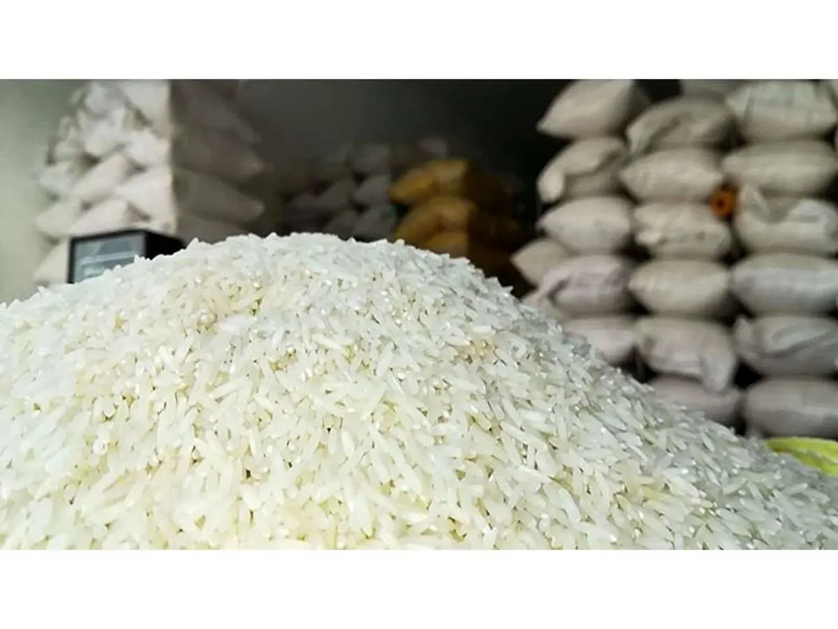 توزیع ۷۶ تن برنج وارداتی تنظیم بازاری در ساری