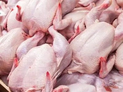 کاهش 600 تومانی قیمت مرغ پس از پایان تعطیلات/ روند کاهشی قیمت مرغ و ماهی ادامه خواهد داشت