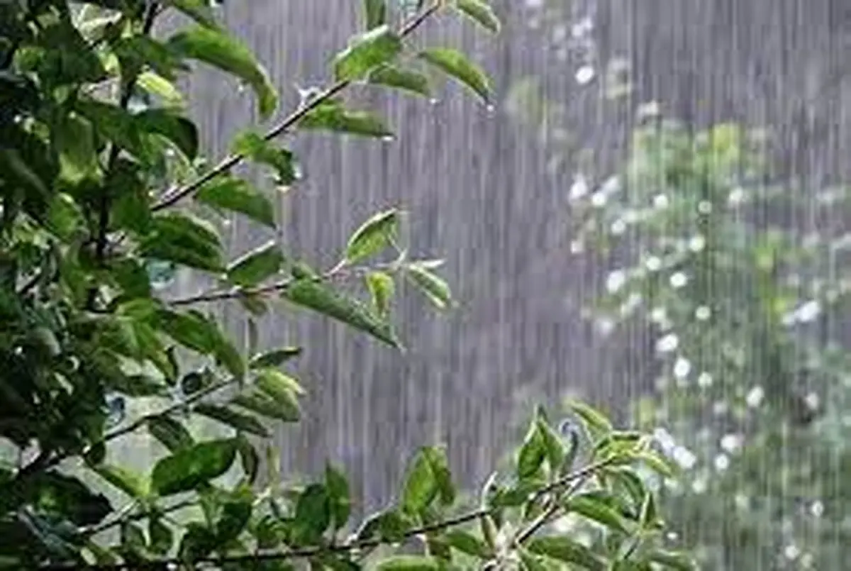 بارش پراکنده باران و همزمان افزایش نسبی دمای هوا تا اواسط هفته در گیلان